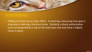 Verbal Restraint
• Talking to horses has a major effect. A soothing, reassuring tone goes a
long way in calming a fractious horse. Similarly, a sharp authoritative
tone accompanied by a tug on the lead rope may help keep a fidgety
horse in place.
 