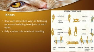 Knots
• Knots are prescribed ways of fastening
ropes and webbing to objects or each
other.
• Paly a prime role in Animal handling
4
 