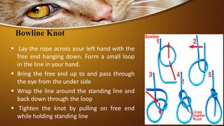 Bowline Knot
 Lay the rope across your left hand with the
free end hanging down. Form a small loop
in the line in your hand.
 Bring the free end up to and pass through
the eye from the under side
 Wrap the line around the standing line and
back down through the loop
 Tighten the knot by pulling on free end
while holding standing line
 
