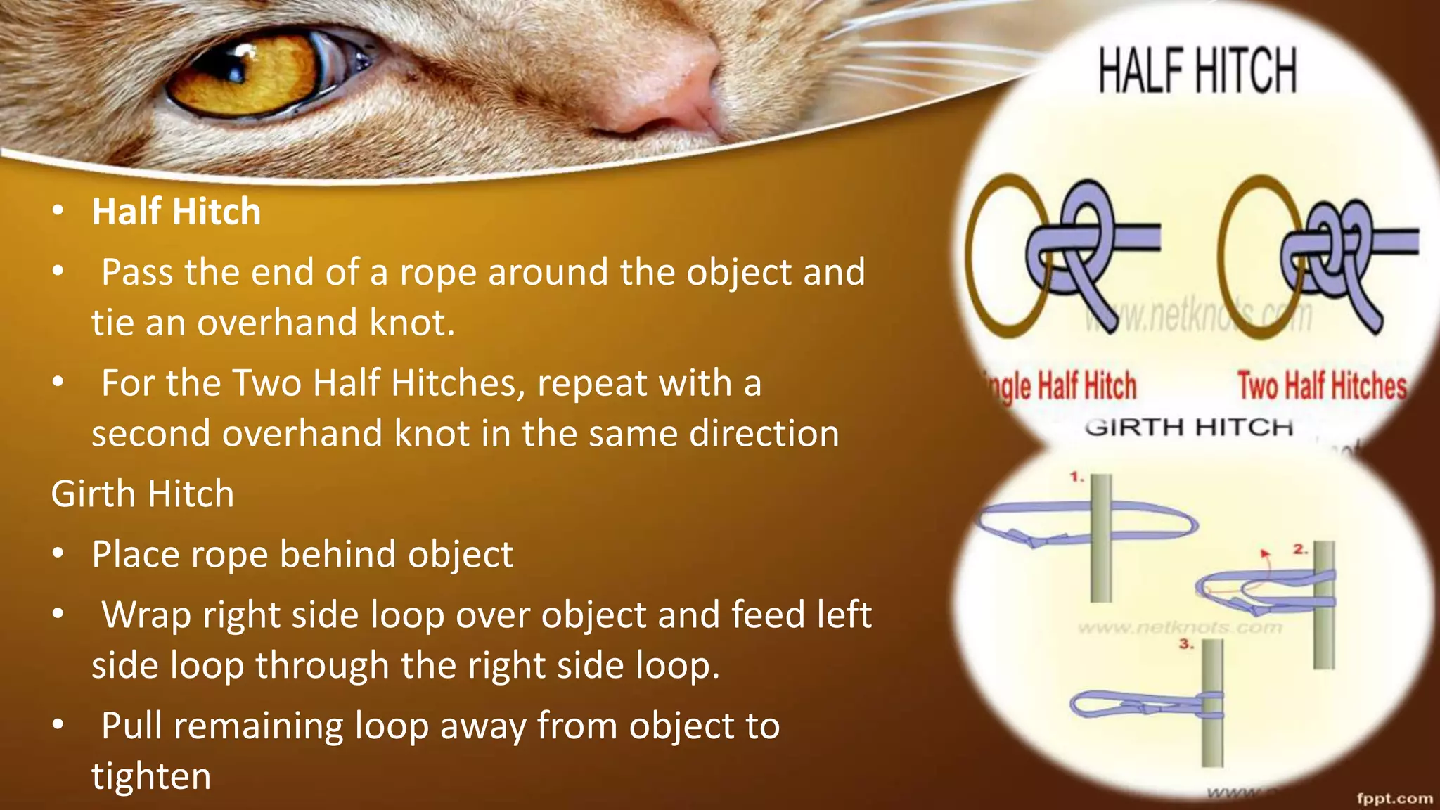 • Half Hitch
• Pass the end of a rope around the object and
tie an overhand knot.
• For the Two Half Hitches, repeat with a
second overhand knot in the same direction
Girth Hitch
• Place rope behind object
• Wrap right side loop over object and feed left
side loop through the right side loop.
• Pull remaining loop away from object to
tighten
 
