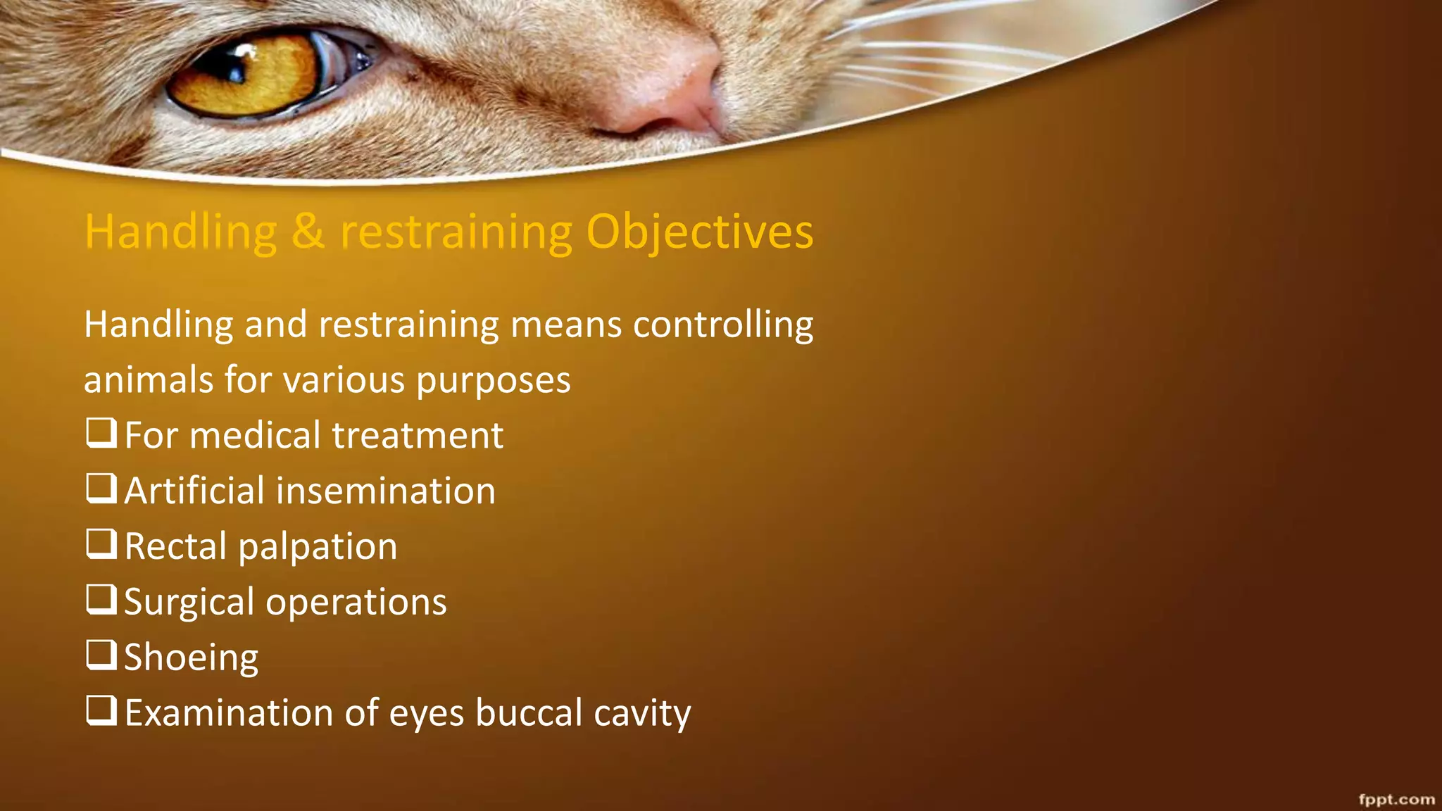 Handling & restraining Objectives
Handling and restraining means controlling
animals for various purposes
For medical treatment
Artificial insemination
Rectal palpation
Surgical operations
Shoeing
Examination of eyes buccal cavity
 
