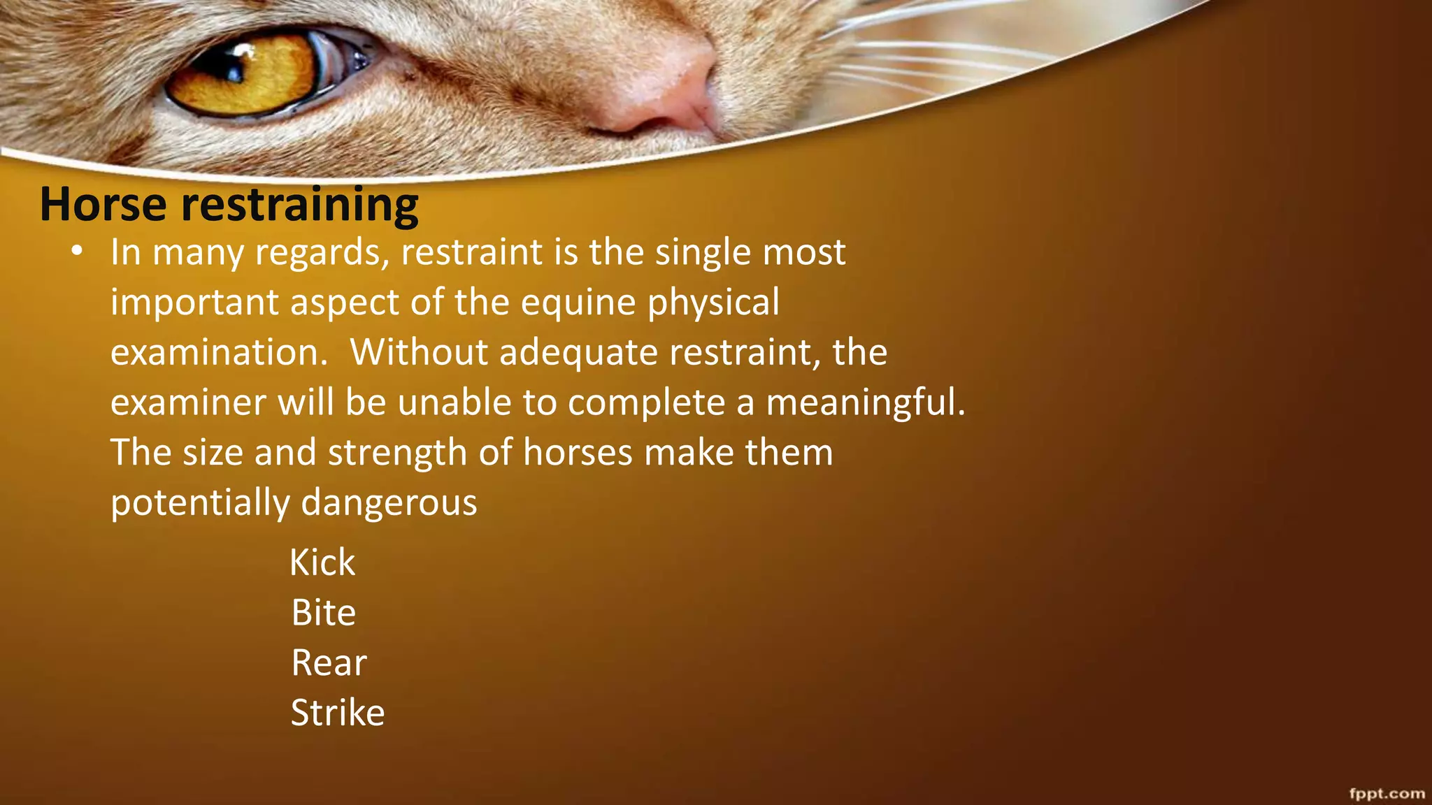Horse restraining
• In many regards, restraint is the single most
important aspect of the equine physical
examination. Without adequate restraint, the
examiner will be unable to complete a meaningful.
The size and strength of horses make them
potentially dangerous
Kick
Bite
Rear
Strike
 