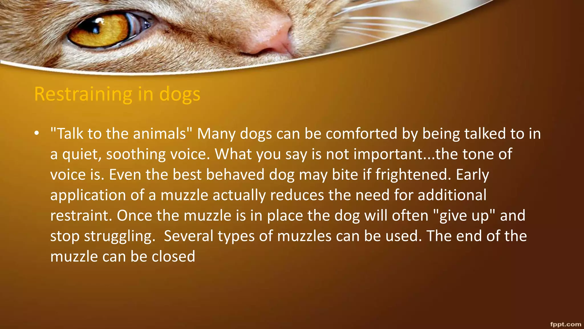 Restraining in dogs
• "Talk to the animals" Many dogs can be comforted by being talked to in
a quiet, soothing voice. What you say is not important...the tone of
voice is. Even the best behaved dog may bite if frightened. Early
application of a muzzle actually reduces the need for additional
restraint. Once the muzzle is in place the dog will often "give up" and
stop struggling. Several types of muzzles can be used. The end of the
muzzle can be closed
 
