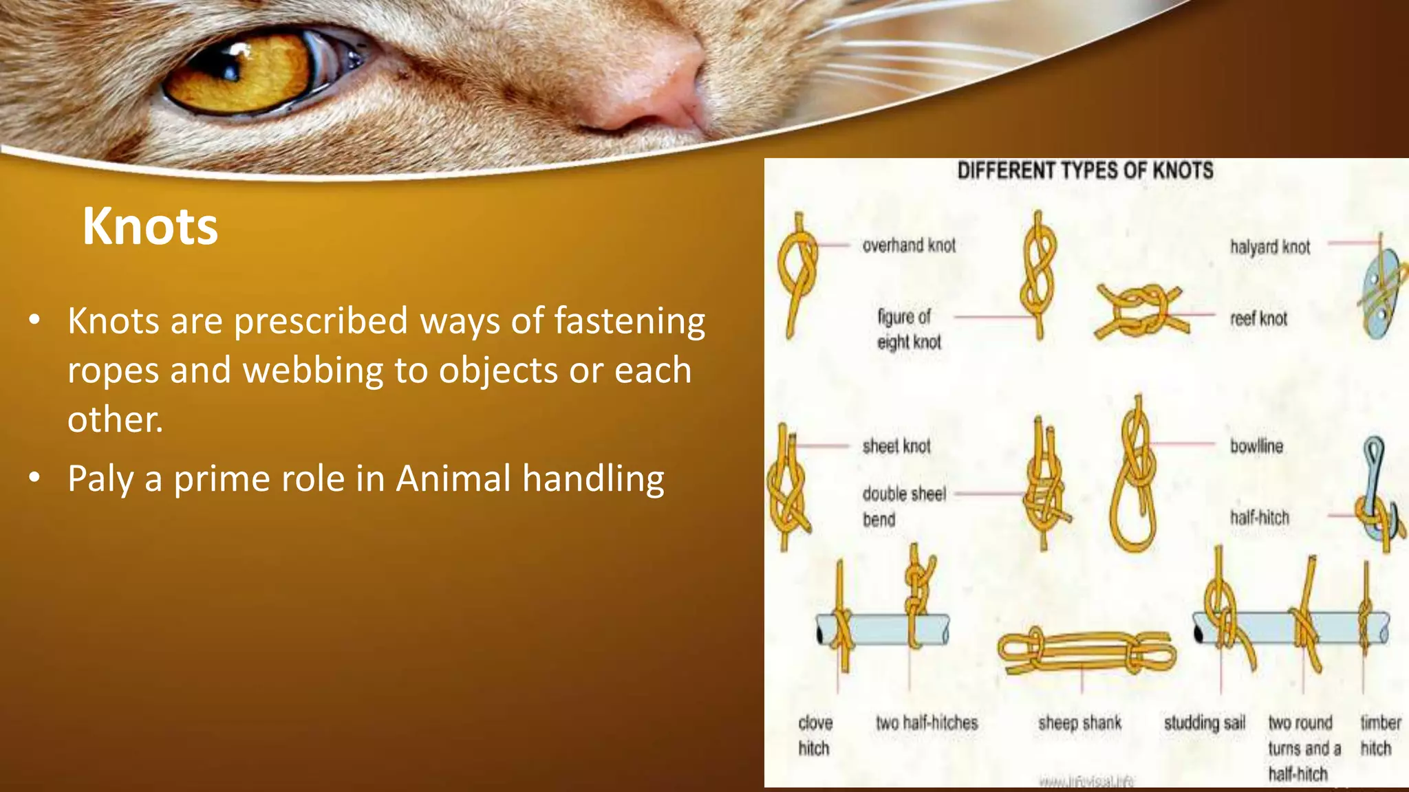 Knots
• Knots are prescribed ways of fastening
ropes and webbing to objects or each
other.
• Paly a prime role in Animal handling
4
 