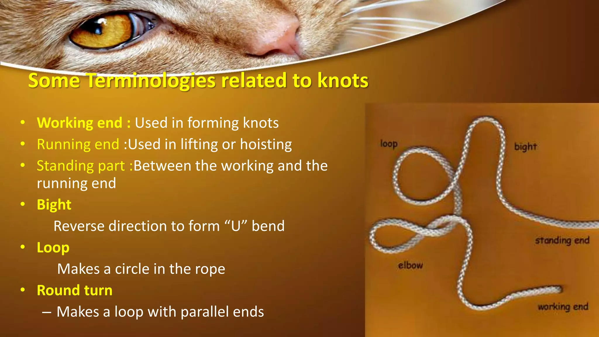 Some Terminologies related to knots
• Working end : Used in forming knots
• Running end :Used in lifting or hoisting
• Standing part :Between the working and the
running end
• Bight
Reverse direction to form “U” bend
• Loop
Makes a circle in the rope
• Round turn
– Makes a loop with parallel ends
 