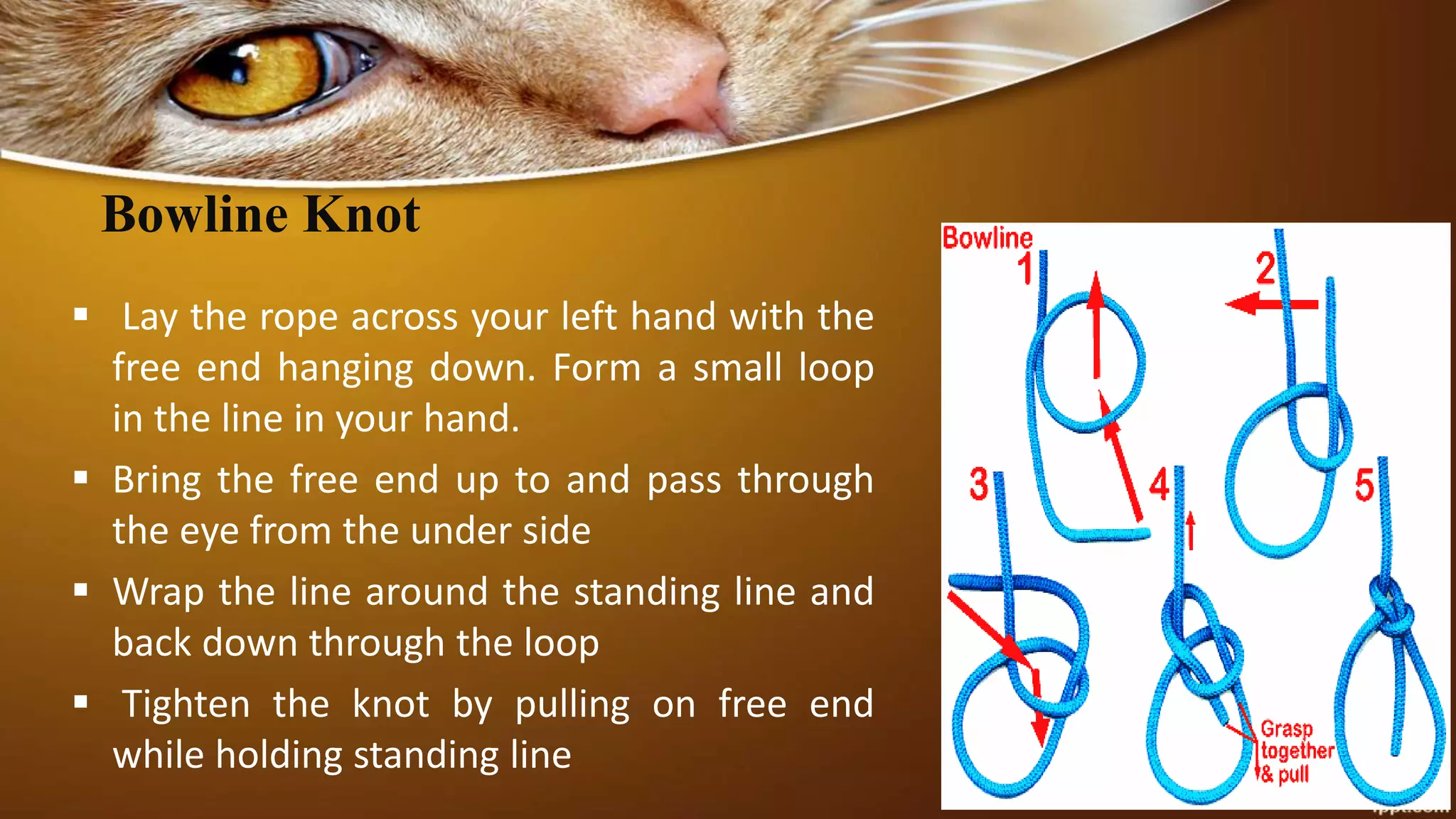 Bowline Knot
 Lay the rope across your left hand with the
free end hanging down. Form a small loop
in the line in your hand.
 Bring the free end up to and pass through
the eye from the under side
 Wrap the line around the standing line and
back down through the loop
 Tighten the knot by pulling on free end
while holding standing line
 