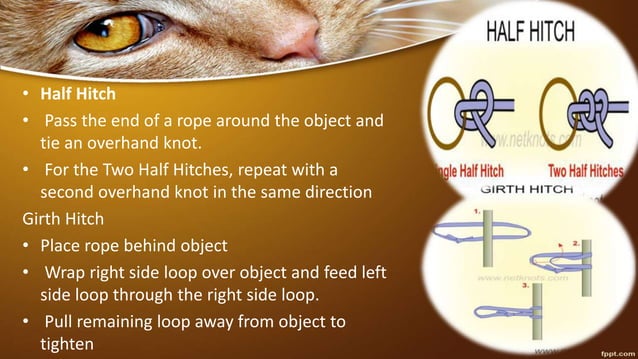 Basic rope work & restraining of animals | PPTX