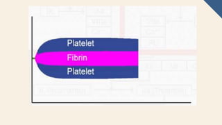 Basic Rotational ThromboelastometryROTEM | PPTX