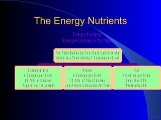 The Energy Nutrients 
