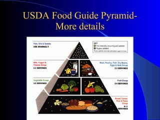 USDA Food Guide Pyramid-More details 