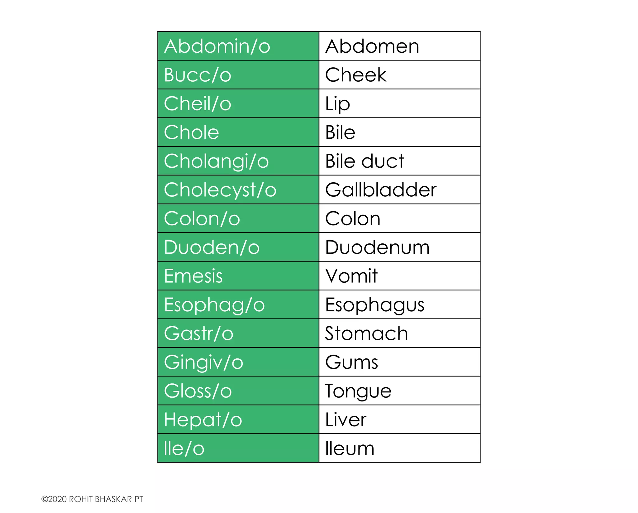 Basic Anatomy, Physiology and Terminology - Dr Rohit Bhaskar | PPT