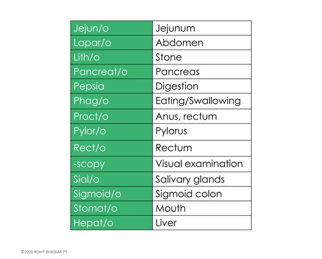 Basic Anatomy, Physiology and Terminology - Dr Rohit Bhaskar | PPT