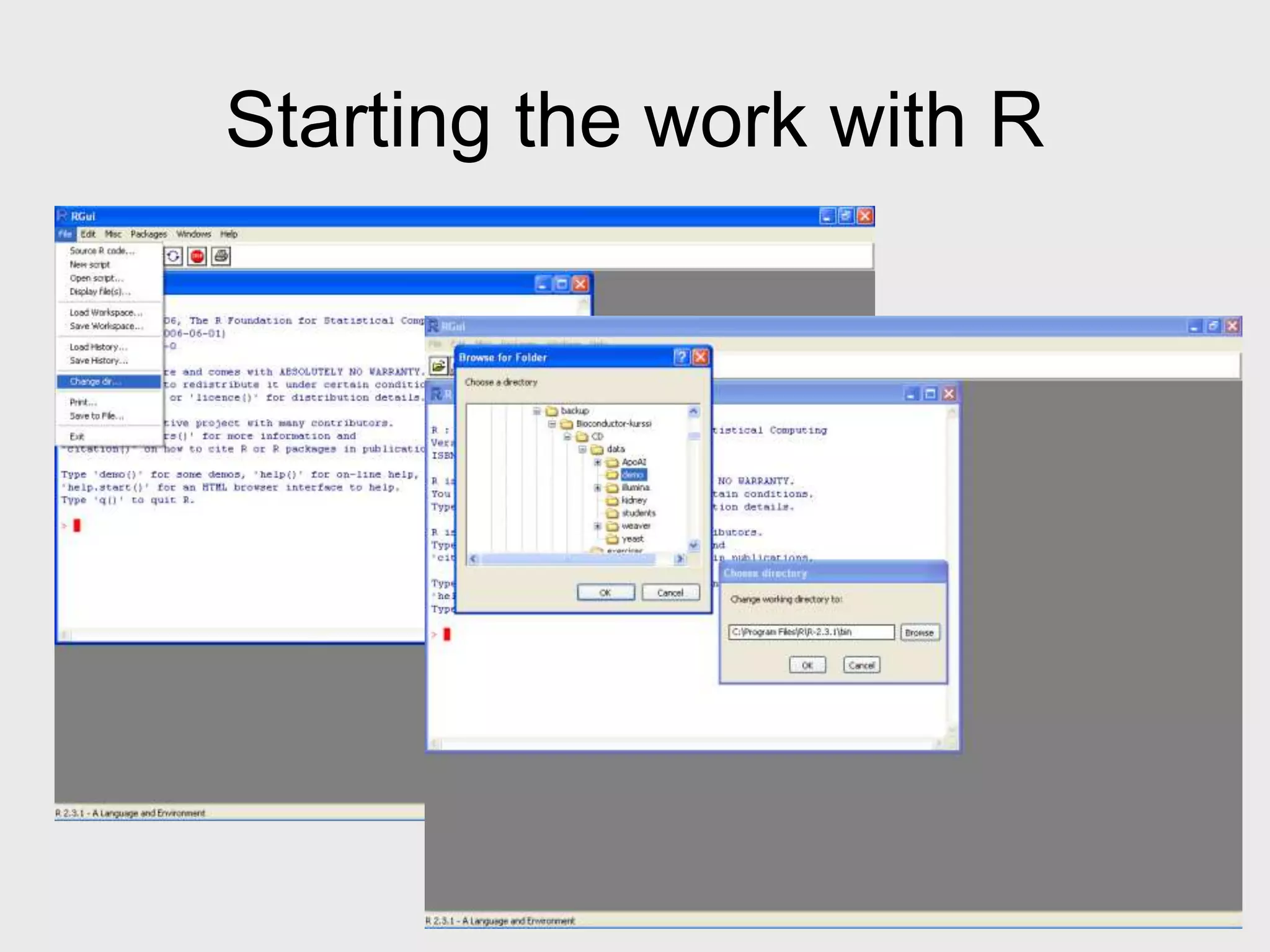 Starting the work with R 