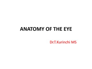 ANATOMY OF THE EYE
Dr.T.Kurinchi MS
 