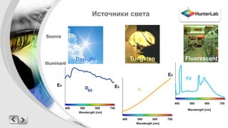 Источники света 
Daylight Tungsten 
Source 
Illuminant 
400 500 600 700 
Wavelength [nm] 
Eλ 
Fluorescent 
400 500 600 700 
Wavelength [nm] 
Eλ 
D 
65 A 
Eλ 
F2 
400 500 600 700 
Wavelength [nm] 
 