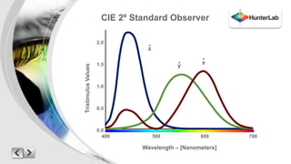 CIE 2º Standard Observer 
- 
z 
- 
y 
- 
x 
Wavelength – [Nanometers] 
2.0 
1.5 
1.0 
0.5 
0.0 
Tristimulus Values 
400 500 600 700 
 