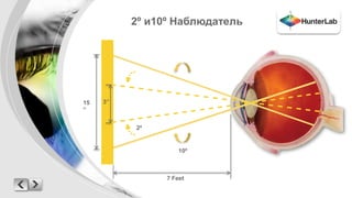 2º и10º Наблюдатель 
7 Feet 
15 3” 
” 
2º 
10º 
 