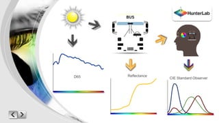 Reflectance 
D65 CIE Standard Observer 
 