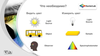 Что необходимо? 
Видеть цвет Измерить цвет 
Light 
Source 
Object 
Observer 
Light 
Source 
Sample 
Spectrophotometer 
 