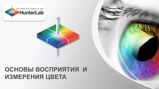 ОСНОВЫ ВОСПРИЯТИЯ И 
ИЗМЕРЕНИЯ ЦВЕТА 
 