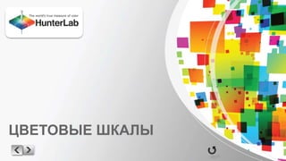 ЦВЕТОВЫЕ ШКАЛЫ 
 