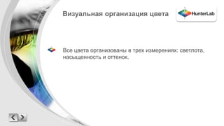 Визуальная организация цвета 
Все цвета организованы в трех измерениях: светлота, 
насыщенность и оттенок. 
 