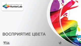 ВОСПРИЯТИЕ ЦВЕТА 
 