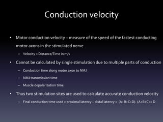 ncs study - basics of nerve conduction study | PPTX