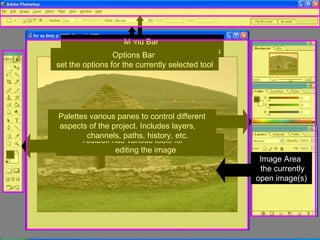Menu Bar  contains all of Photoshop’s available options Options Bar  set the options for the currently selected tool Toolbox has various tools for  editing the image Palettes various panes to control different aspects of the project. Includes layers,  channels, paths, history, etc. Image Area  the currently open image(s) 