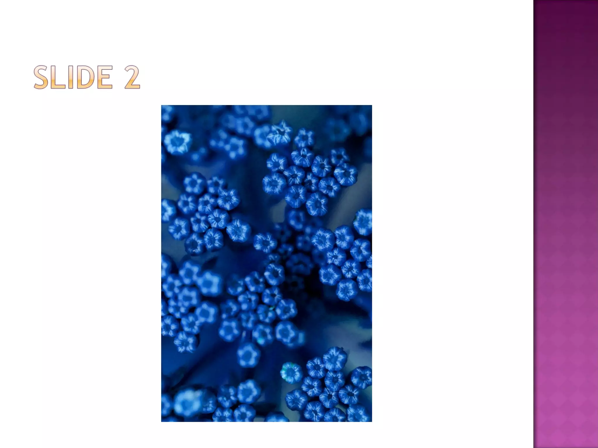 Basics of powerpoint ppt