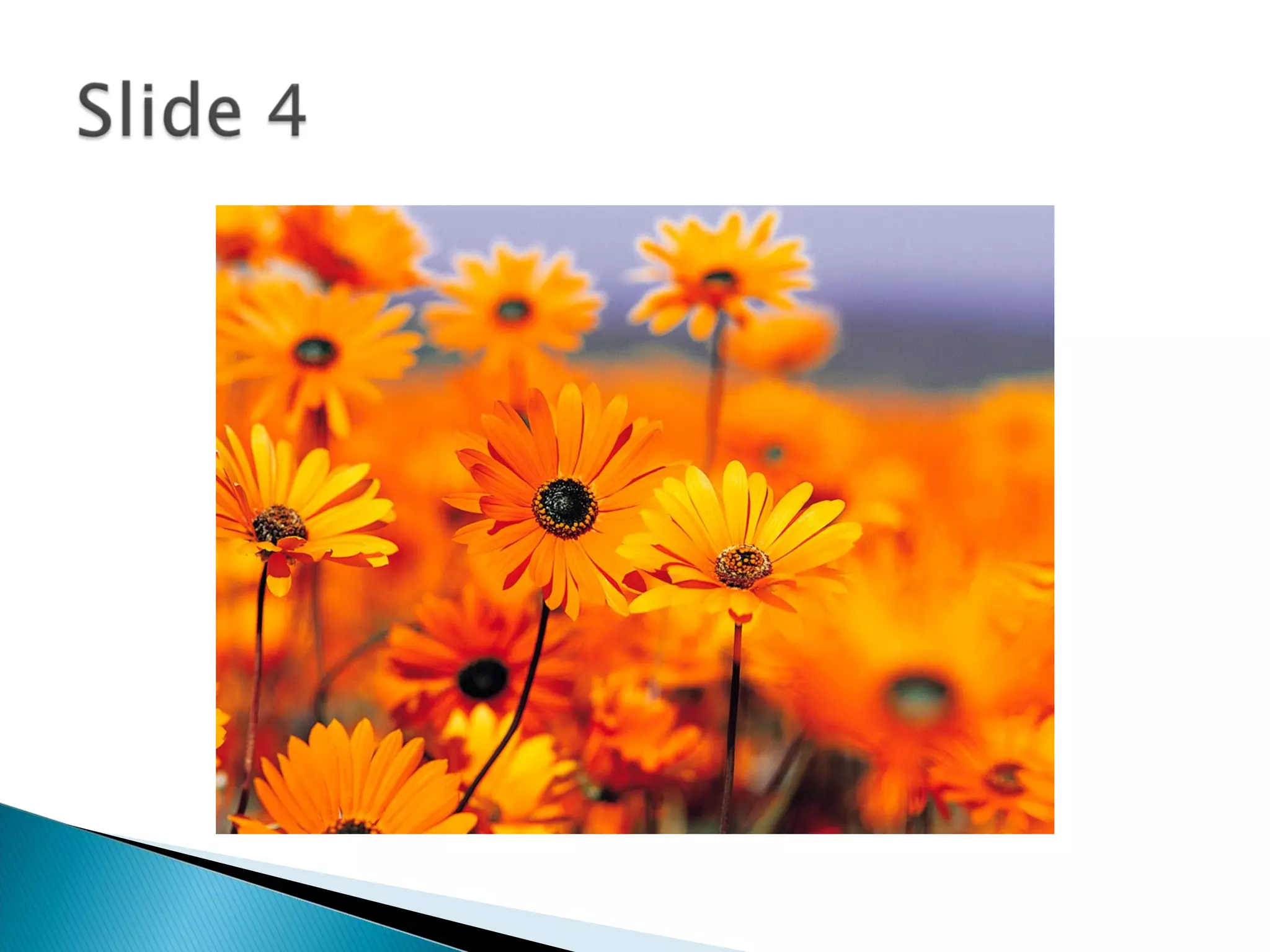 Basics of powerpoint ppt