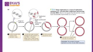 basics-of-replicationn1685182867320.pdf. | PDF