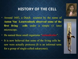 Basics about Cell types and Cell Theory ppt.pptx