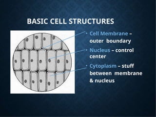 Basics about Cell types and Cell Theory ppt.pptx