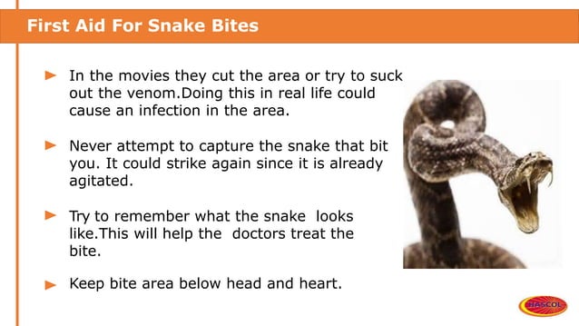 Basic safety against snake bite at work place | PPTX | First Aid | Injuries