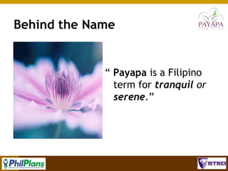 Behind the Name

“ Payapa is a Filipino
term for tranquil or
serene.”

61

 
