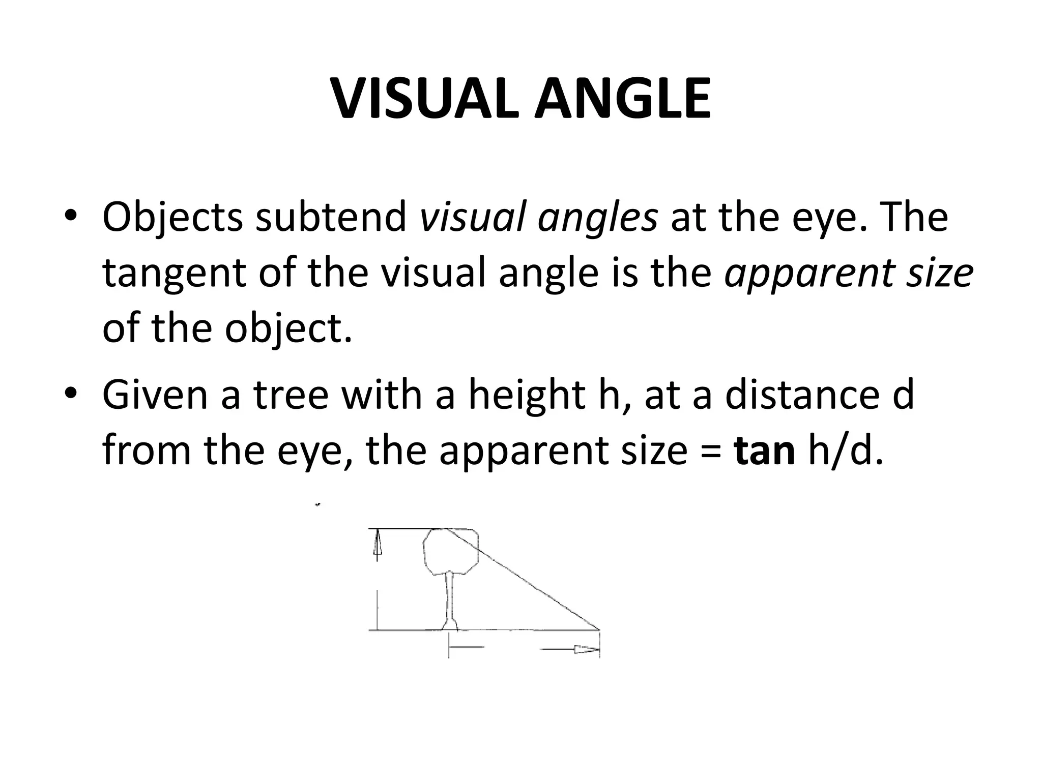 VISUAL ANGLE
• Objects subtend visual angles at the eye. The
tangent of the visual angle is the apparent size
of the object.
• Given a tree with a height h, at a distance d
from the eye, the apparent size = tan h/d.
 