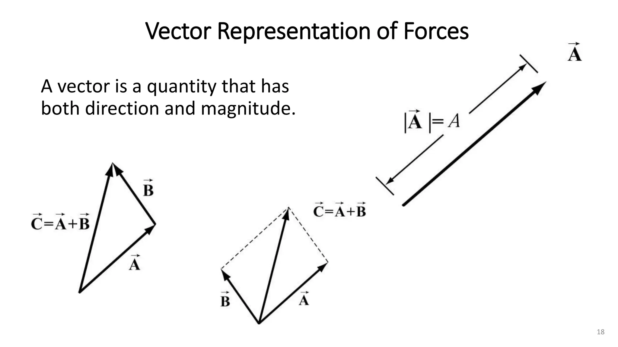 Vector Representation of Forces
A vector is a quantity that has
both direction and magnitude.
18
 