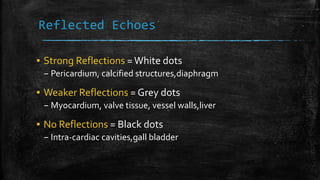 Reflected Echoes
▪ Strong Reflections =White dots
– Pericardium, calcified structures,diaphragm
▪ Weaker Reflections = Grey dots
– Myocardium, valve tissue, vessel walls,liver
▪ No Reflections = Black dots
– Intra-cardiac cavities,gall bladder
 