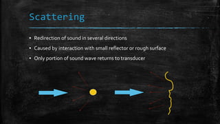 Scattering
▪ Redirection of sound in several directions
▪ Caused by interaction with small reflector or rough surface
▪ Only portion of sound wave returns to transducer
 