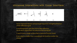 Ultrasound Interactions with Tissue Interfaces
Arrow representVectors whose length equal the strength & direction
of the reflected signal
A and B represent specular (mirror like) reflectors,
the B return signal does not return to the transducer
C and D have a rough surface that is typical of human tissue
E are objects smaller than a wavelength & therefore scatter the
energy
 