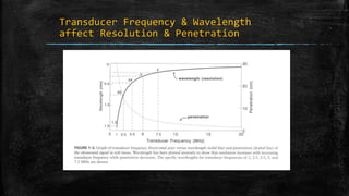 Transducer Frequency & Wavelength
affect Resolution & Penetration
 