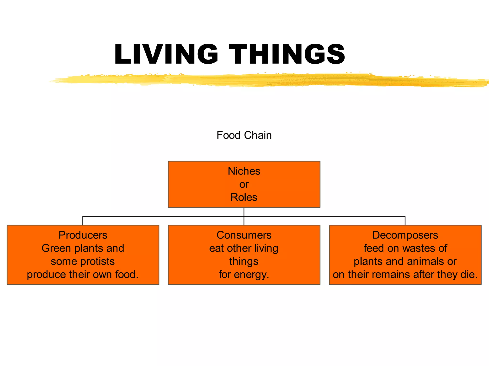 LIVING THINGS

                           Food Chain


                              Niches
                                or
                              Roles


      Producers            Consumers                  Decomposers
   Green plants and       eat other living         feed on wastes of
    some protists              things            plants and animals or
produce their own food.     for energy.      on their remains after they die.
 