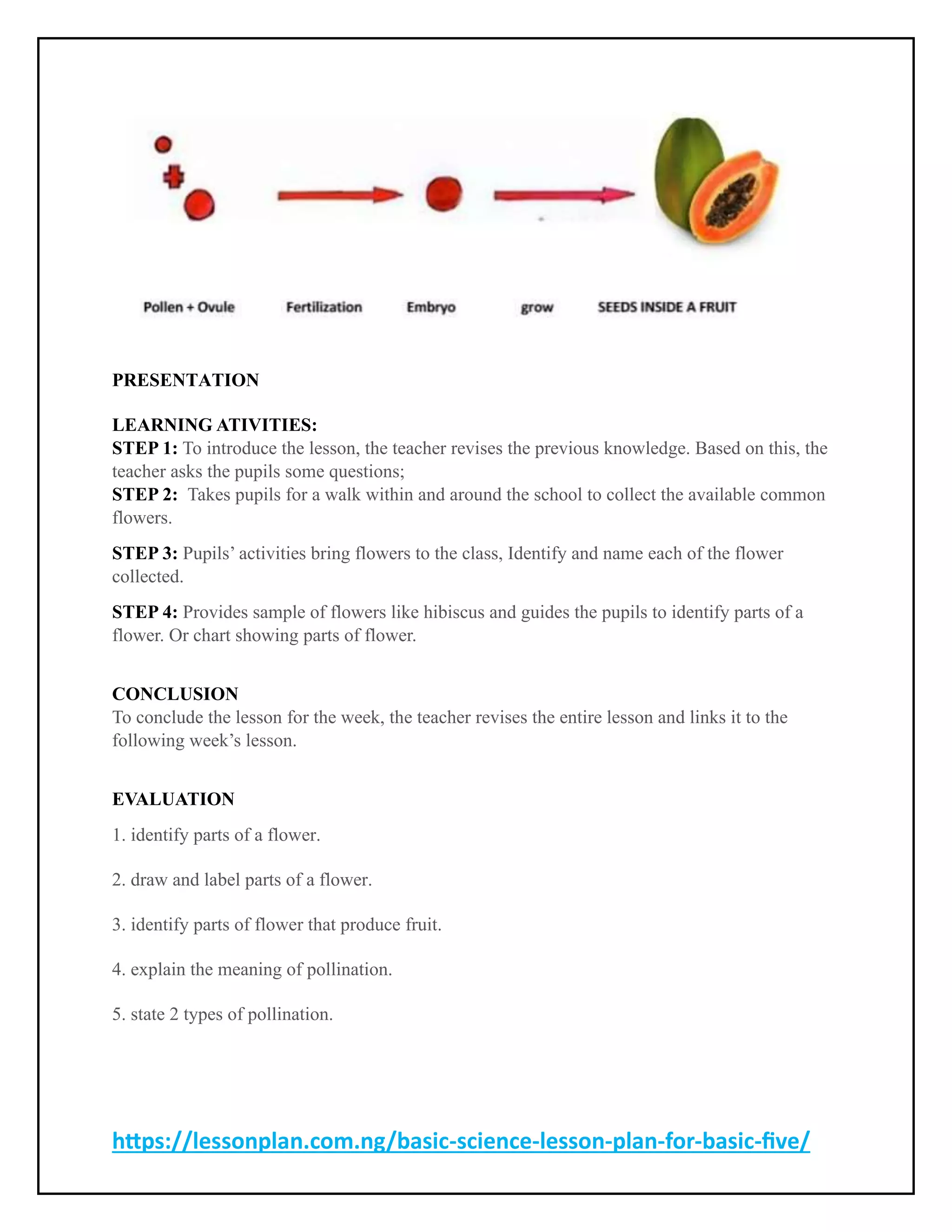 BASIC SCIENCE BASIC FIVE LESSON PLAN.pdf