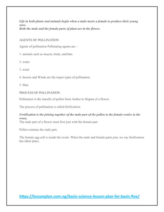 https://lessonplan.com.ng/basic-science-lesson-plan-for-basic-five/
Life in both plants and animals begin when a male meets a female to produce their young
ones.
Both the male and the female parts of plant are in the flower.
AGENTS OF POLLINATION
Agents of pollination Pollinating agents are –
1. animals such as insects, birds, and bats
2. water
3. wind
4. Insects and Winds are the major types of pollination.
5. Man
PROCESS OF POLLINATION
Pollination is the transfer of pollen from Anther to Stigma of a flower.
The process of pollination is called fertilization.
Fertilization is the joining together of the male part of the pollen to the female ovules in the
ovary.
The male part of a flower must first join with the female part.
Pollen contains the male part.
The female egg cell is inside the ovule. When the male and female parts join, we say fertilization
has taken place.
 