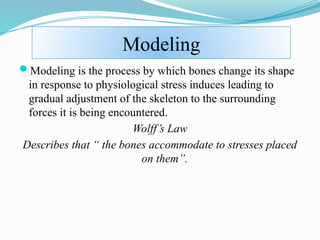 Basic science part I: Bone | PDF
