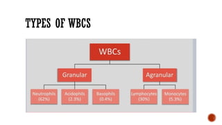 Wbcd Types Blood and its importance with its applied aspects | PPTX