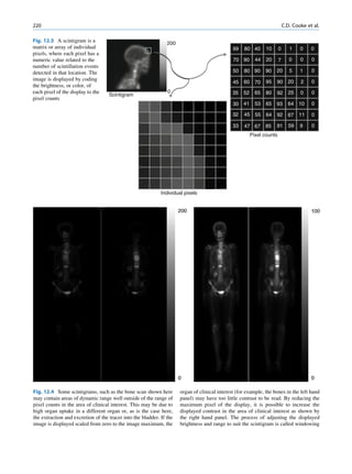 CIENCIAS BÁSICAS MN