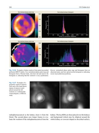 CIENCIAS BÁSICAS MN