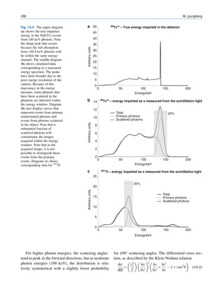CIENCIAS BÁSICAS MN